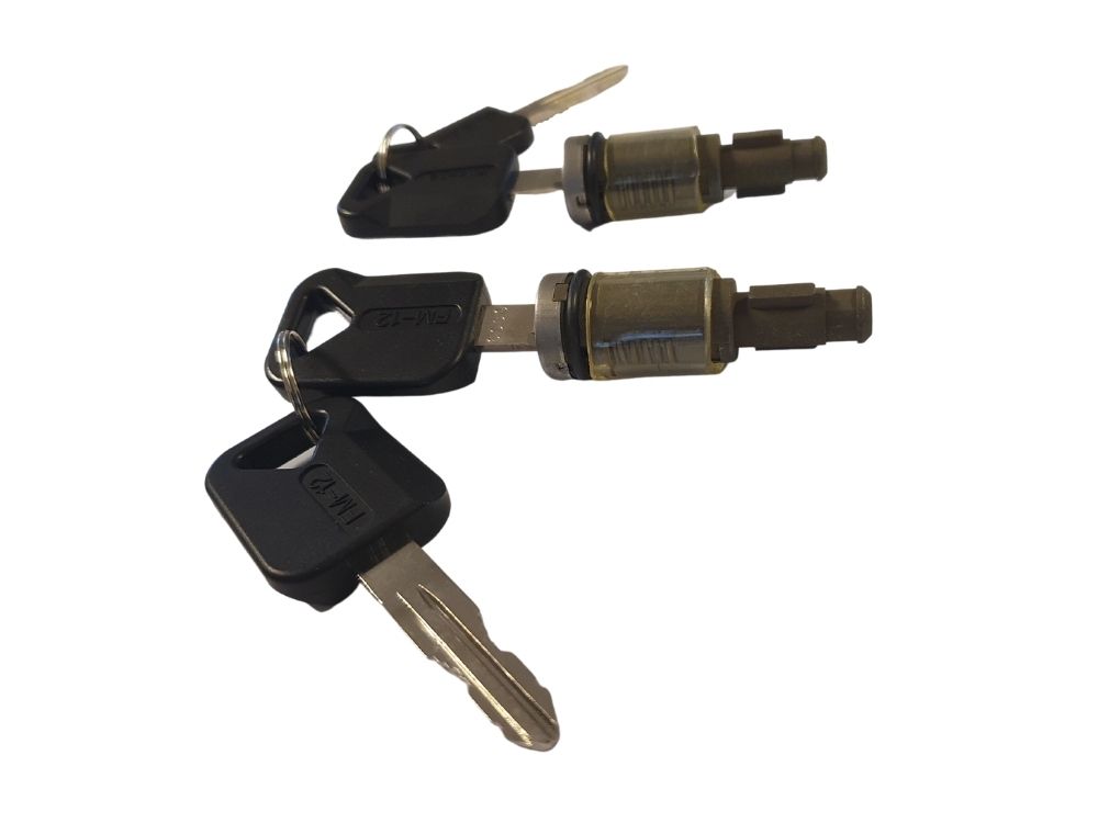 Door Handle Lock Kit R/H = L/H 2 Locks With 4 Keys FH/FM (9502